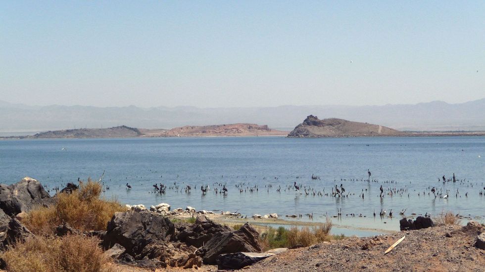 The Settler Sea: California’s Salton Sea and the Repercussions of Colonialism by Traci Brynne Voyles